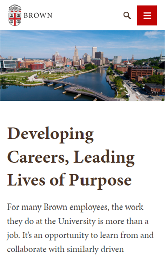 Developing-Careers-Leading-Lives-of-Purpose-Brown-University